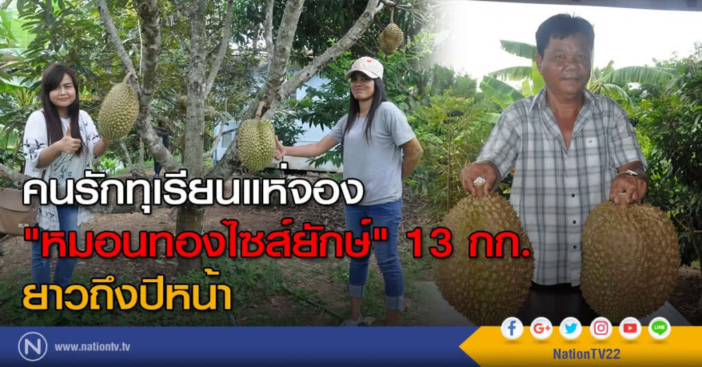คนรักทุเรียนแห่จอง "หมอนทองไซส์ยักษ์" 13 กก. ยาวถึงปีหน้า คนรักทุเรียนแห่จอง "หมอนทองไซส์ยักษ์" 13 กก. ยาวถึงปีหน้า