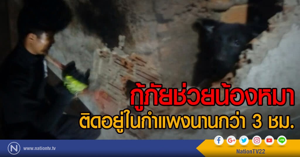 กู้ภัยช่วยน้องหมา
ติดอยู่ในกำแพงนานกว่า 3 ชม.