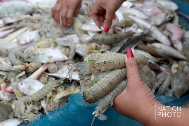 พาเที่ยว... สดจากเทพา
ตลาดนัดพหุสังคมชายแดนใต้