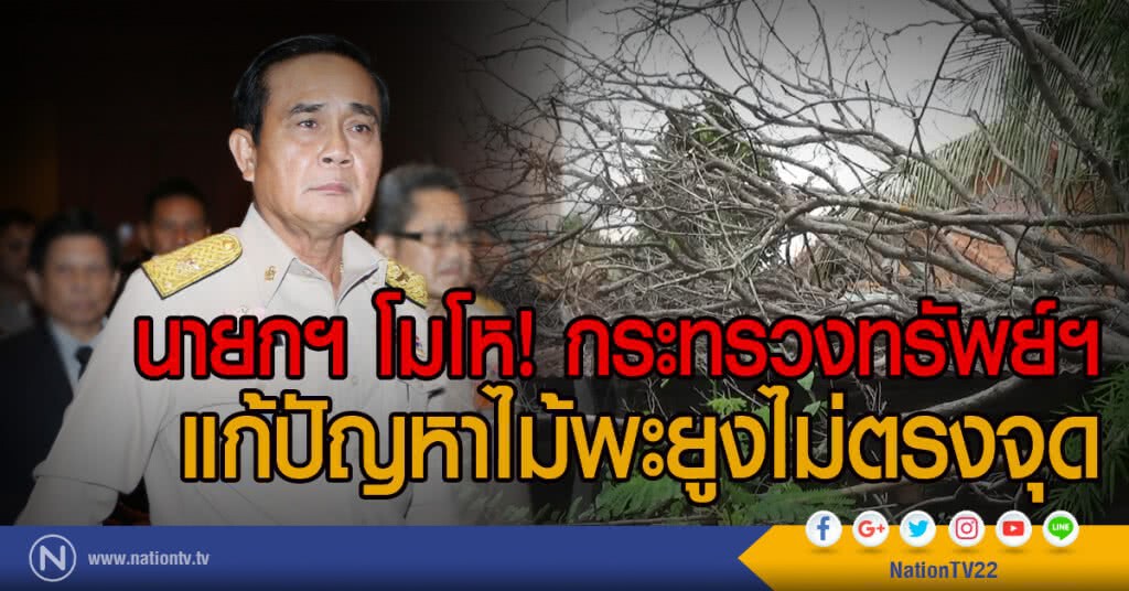 นายกฯ โมโห! กระทรวงทรัพย์ฯ
แก้ปัญหาไม้พะยูงไม่ตรงจุด