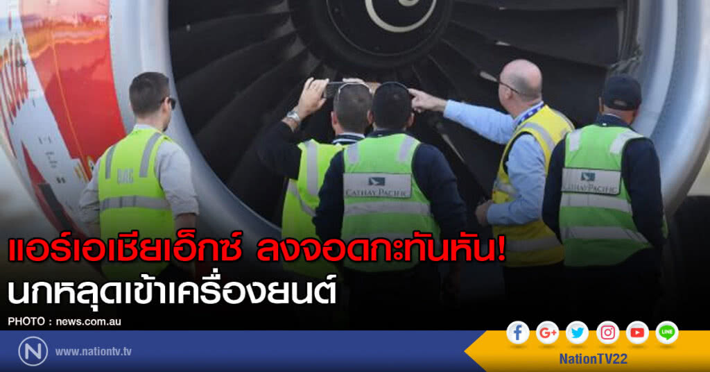 แอร์เอเชียเอ็กซ์ ลงจอดกะทันหัน! นกหลุดเข้าเครื่องยนต์ แอร์เอเชียเอ็กซ์ ลงจอดกะทันหัน! นกหลุดเข้าเครื่องยนต์