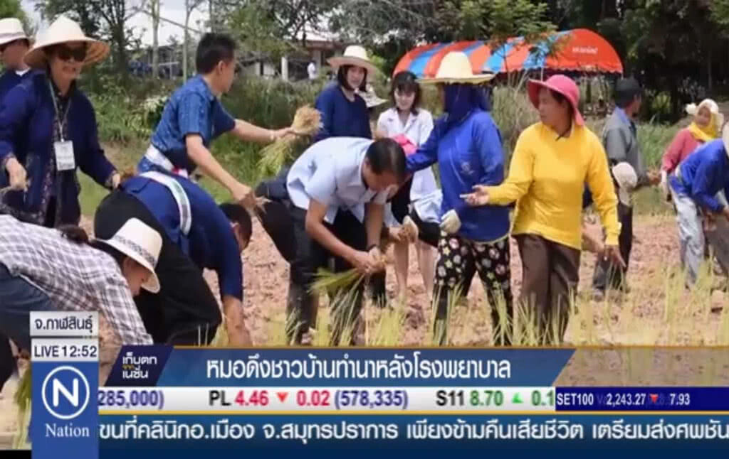 หมอดึงชาวบ้านทำนา หลังโรงพยาบาล หมอดึงชาวบ้านทำนา หลังโรงพยาบาล