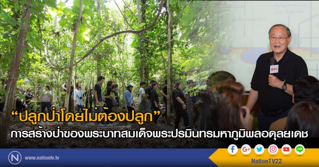 "ปลูกป่าโดยไม่ต้องปลูก"
การสร้างป่าของพระบาทสมเด็จพระปรมินทรมหาภูมิพลอดุลยเดช