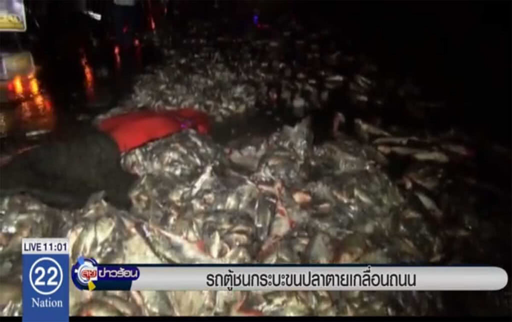 รถบรรทุกชนกระบะขนปลา ตายเกลื่อนถนน
