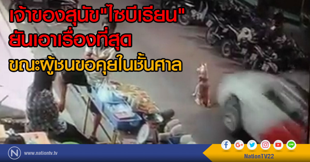 เจ้าของสุนัข"ไซบีเรียน"ยัน เอาเรื่องที่สุด
ขณะผู้ชนขอคุยในชั้นศาล เจ้าของสุนัข"ไซบีเรียน"ยัน เอาเรื่องที่สุด
ขณะผู้ชนขอคุยในชั้นศาล