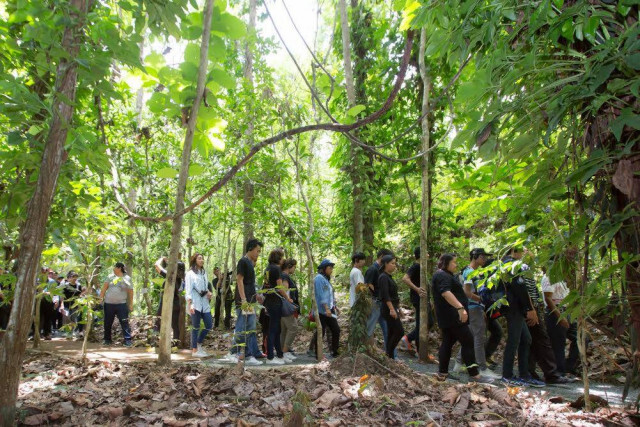 "ปลูกป่าโดยไม่ต้องปลูก"
การสร้างป่าของพระบาทสมเด็จพระปรมินทรมหาภูมิพลอดุลยเดช