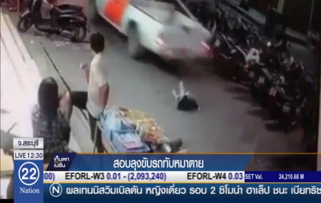 สอบลุงขับรถทับหมาตาย สอบลุงขับรถทับหมาตาย