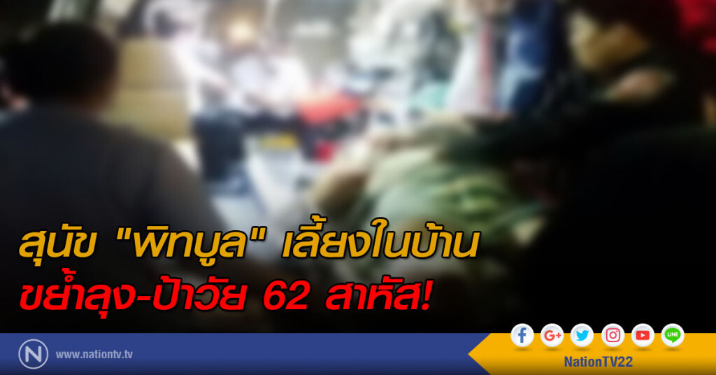 สุนัข "พิทบูล" ขย้ำลุง-ป้าวัย 62 สาหัส! สุนัข "พิทบูล" ขย้ำลุง-ป้าวัย 62 สาหัส!