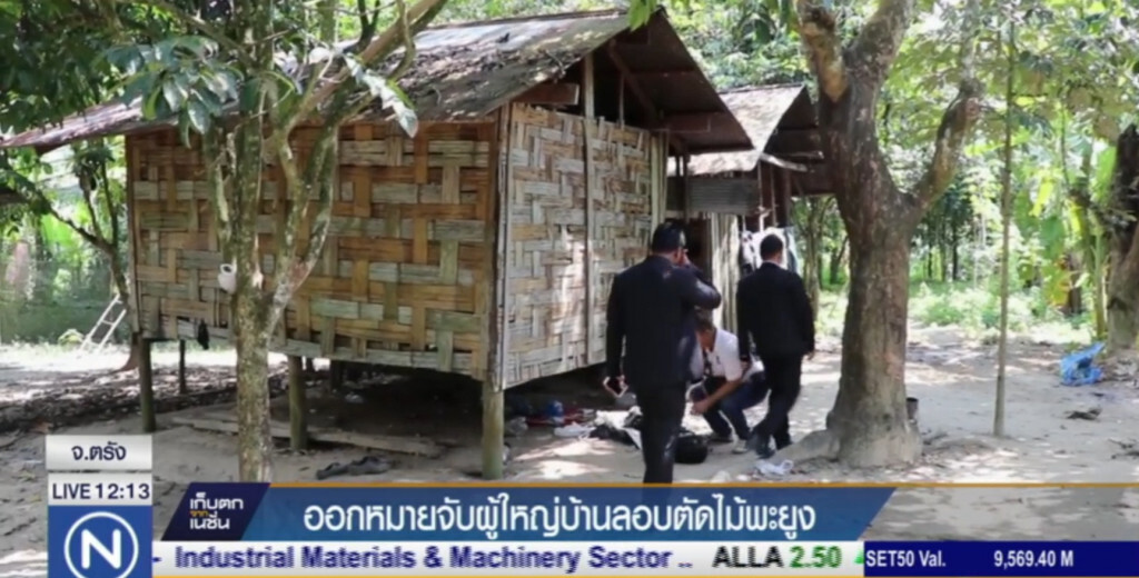 ออกหมายจับผู้ใหญ่บ้านลักลอบตัดไม้พะยูง ออกหมายจับผู้ใหญ่บ้านลักลอบตัดไม้พะยูง