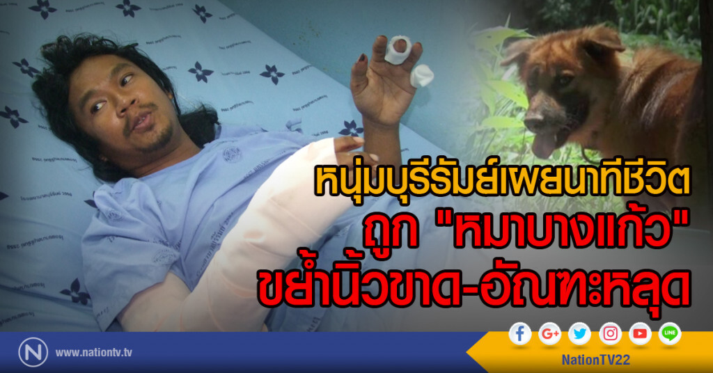 หนุ่มบุรีรัมย์เผยนาทีชีวิต
ถูก "หมาบางแก้ว" ขย้ำนิ้วขาด-อัณฑะหลุด