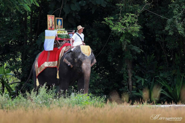 "กึ๊ดช้าง" แห่เทียนพรรษาบนหลังช้าง 32 เชือก เป็นปีแรก