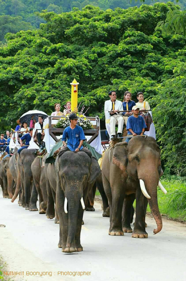 "กึ๊ดช้าง" แห่เทียนพรรษาบนหลังช้าง 32 เชือก เป็นปีแรก
