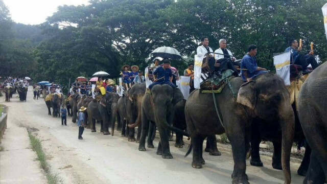 "กึ๊ดช้าง" แห่เทียนพรรษาบนหลังช้าง 32 เชือก เป็นปีแรก
