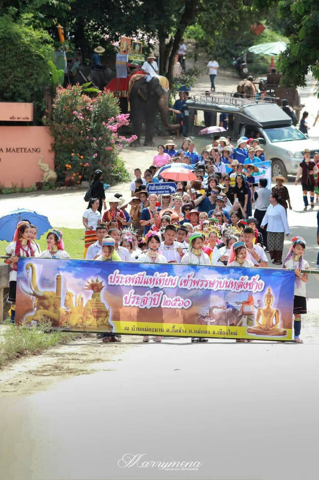 "กึ๊ดช้าง" แห่เทียนพรรษาบนหลังช้าง 32 เชือก เป็นปีแรก