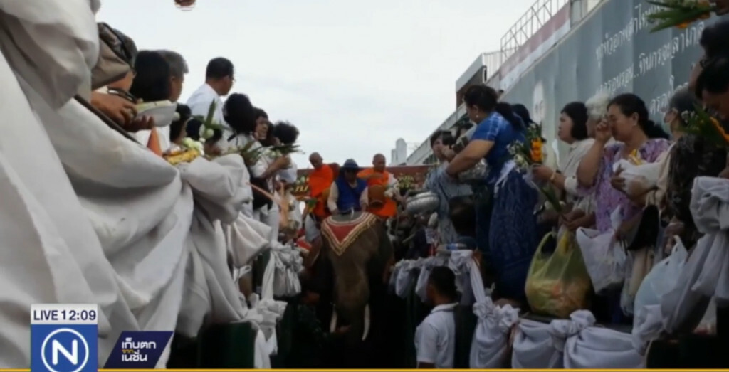 ชาวสุรินทร์และนักท่องเที่ยว ร่วมตักบาตรบนหลังช้าง หนึ่งเดียวในโลก