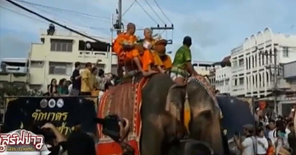 หนึ่งเดียวในโลก ตักบาตรบนหลังช้าง