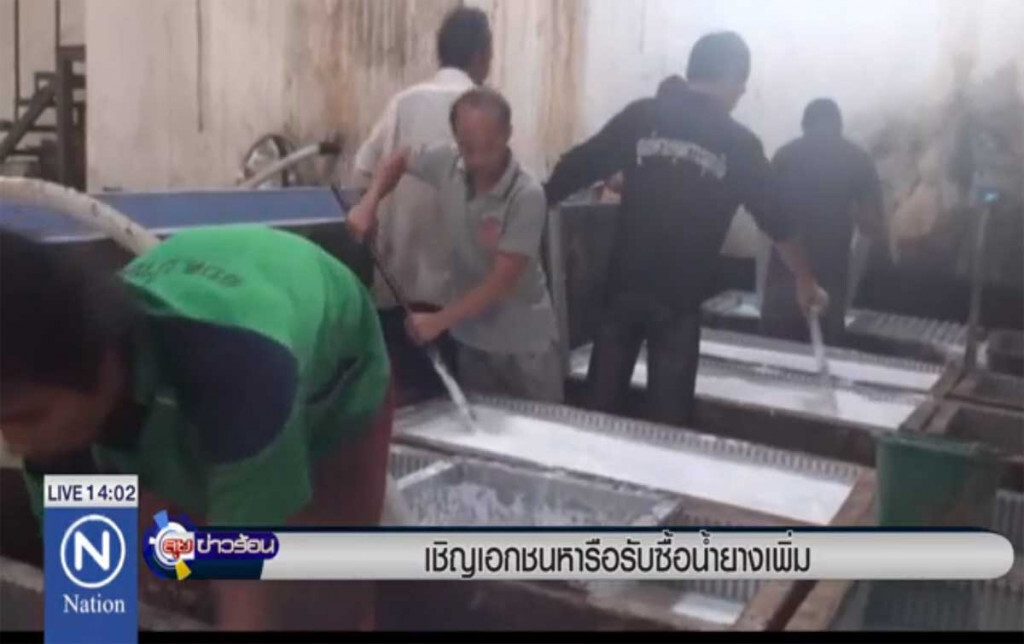 เชิญเอกชนหารือ รับซื้อน้ำยางเพิ่ม เชิญเอกชนหารือ รับซื้อน้ำยางเพิ่ม