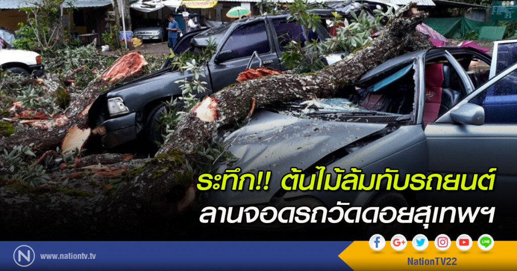 ระทึก!! ต้นไม้ล้มทับรถยนต์ ลานจอดรถวัดดอยสุเทพฯ