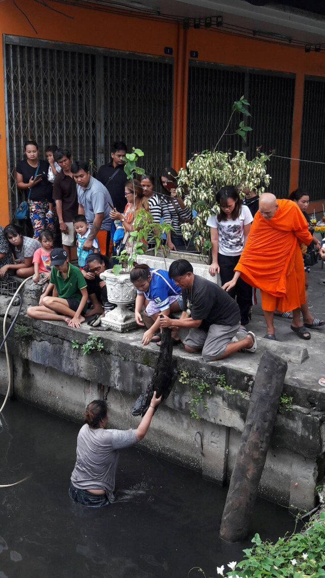 ชาวบ้านแห่ลุ้นเลขเด็ด
เจ้าแม่ตะเคียนเข้าฝัน ให้ช่วยนำขึ้นจากคลองย่านวัดชัยฉิมพลี