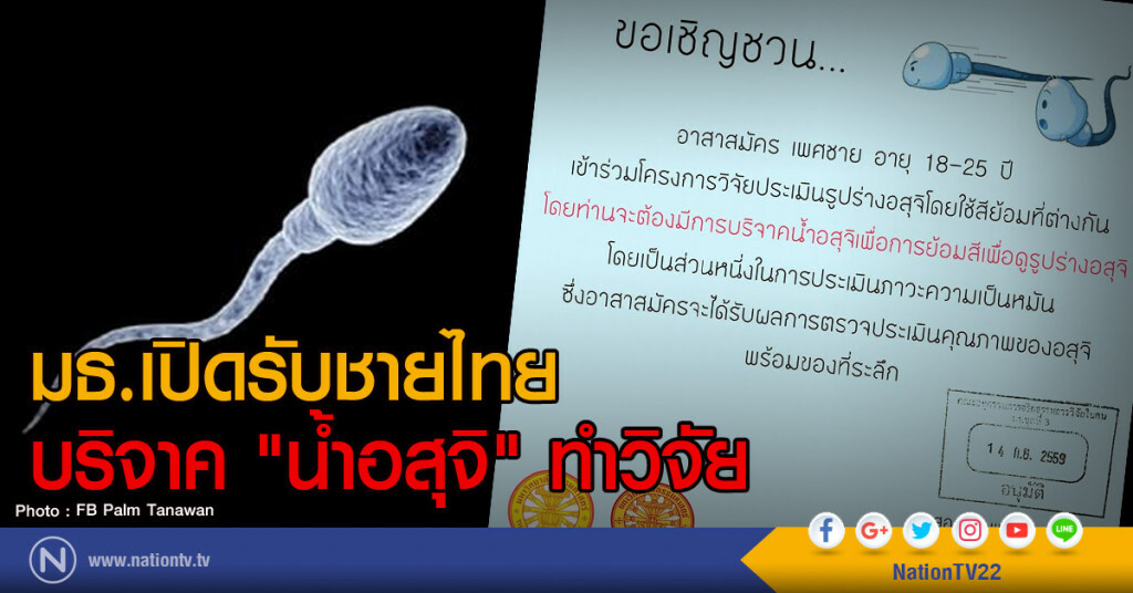 มธ.เปิดรับชายไทย
บริจาค "น้ำอสุจิ" ทำวิจัย มธ.เปิดรับชายไทย
บริจาค "น้ำอสุจิ" ทำวิจัย