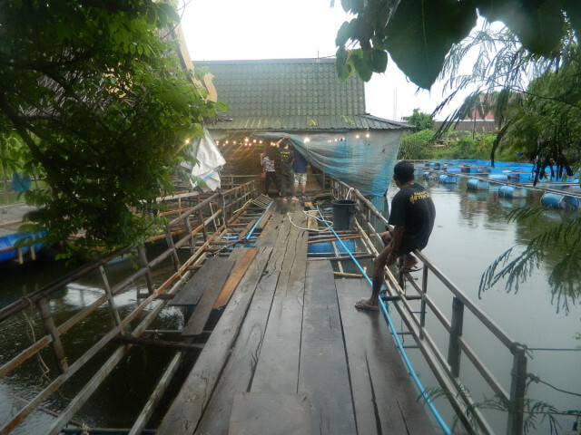 โรงเรือนนกกระทาลอยน้ำ
นวัตกรรมรองรับน้ำท่วม