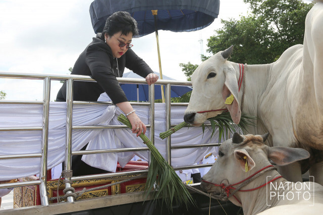องค์โสมฯ ทรงบำเพ็ญพระกุศล เนื่องในโอกาสวันคล้ายวันประสูติและในโอกาสทรงเจริญพระชันษา 5 รอบ