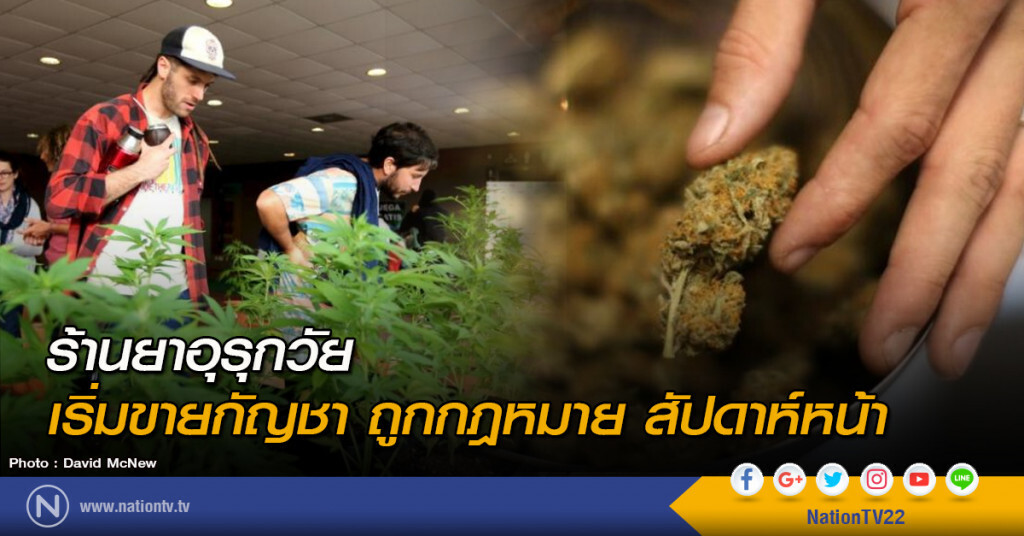 ร้านยาอุรุกวัย เริ่มขายกัญชาถูกกฎหมาย สัปดาห์หน้า