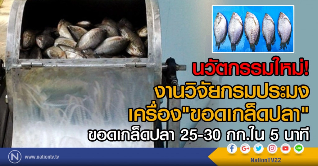 นวัตกรรมใหม่งานวิจัยกรมประมง
เครื่อง"ขอดเกล็ดปลา"
ขอดเกล็ดปลา 25-30 กก.ใน 5 นาที