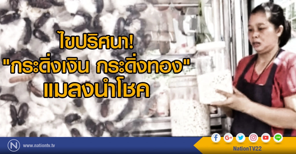 ไขปริศนา "กระดิ่งเงิน กระดิ่งทอง" แมลงนำโชค