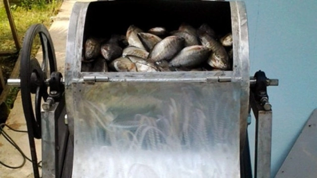 นวัตกรรมใหม่งานวิจัยกรมประมง
เครื่อง"ขอดเกล็ดปลา"
ขอดเกล็ดปลา 25-30 กก.ใน 5 นาที