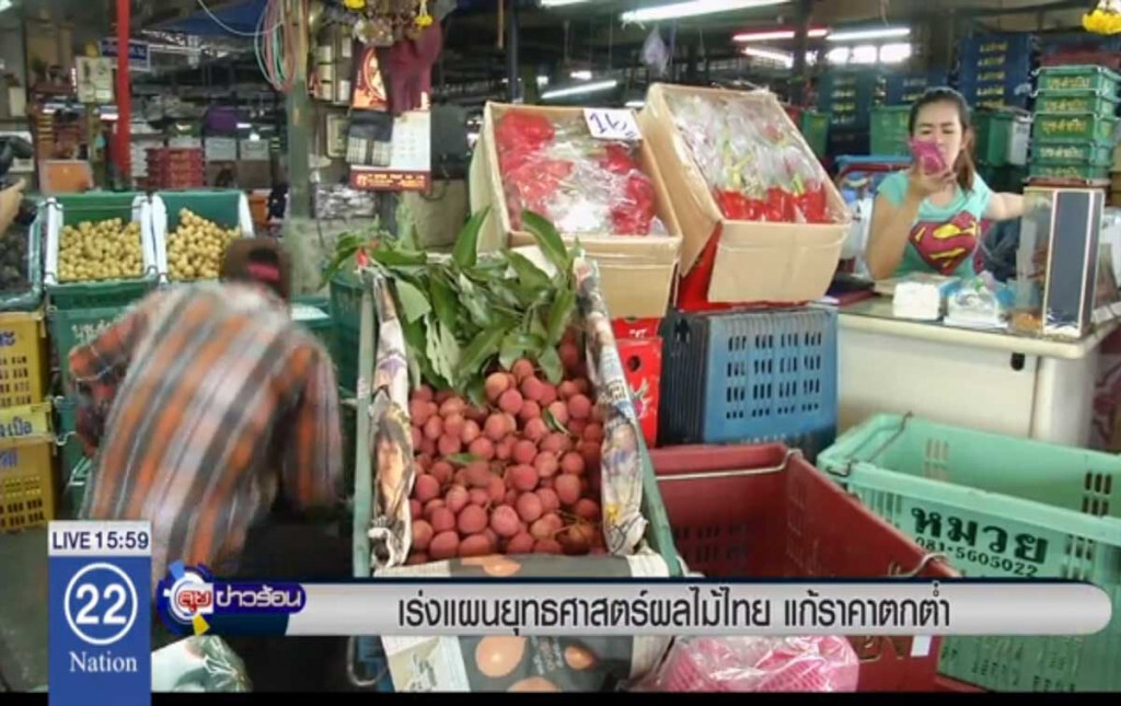 เร่งแผนยุทธศาสตร์ผลไม้ไทย แก้ราคาตกต่ำ เร่งแผนยุทธศาสตร์ผลไม้ไทย แก้ราคาตกต่ำ