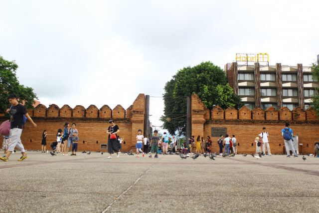 นักท่องเที่ยวแห่เซลฟี่นกพิราบประตูท่าแพ