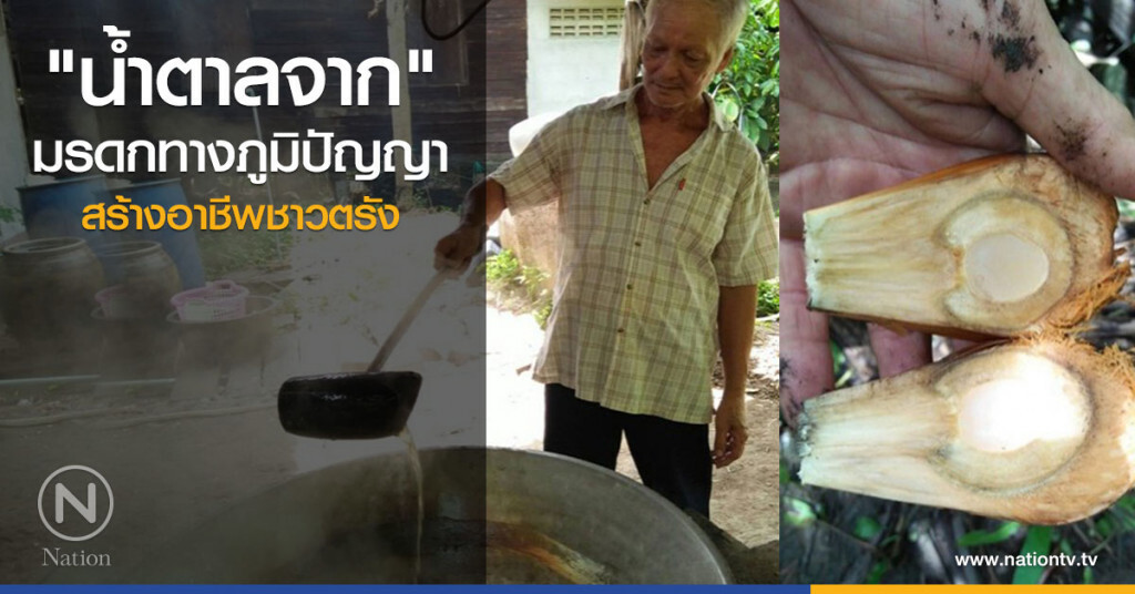 "น้ำตาลจาก"  มรดกทางภูมิปัญญา สร้างอาชีพชาวตรัง
