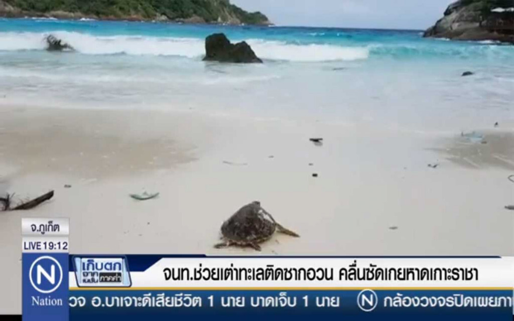 จนท.ช่วยเต่าทะเลติดซากอวน คลื่นซัดเกยหาดเกาะราชา