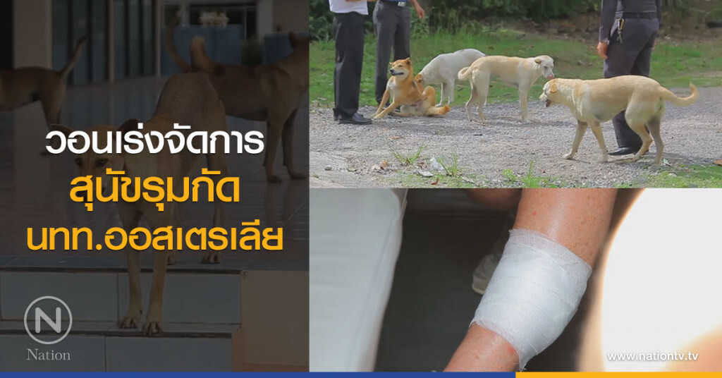 วอนเร่งจัดการ
สุนัขรุมกัด
นทท.ออสเตรเลีย