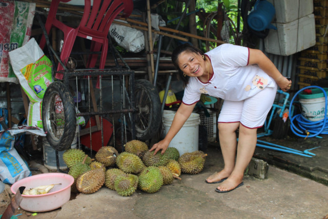 แม่ค้า สุดเซ็ง! โดนขโมยทุเรียนหมอนทอง กว่า 100 กก.