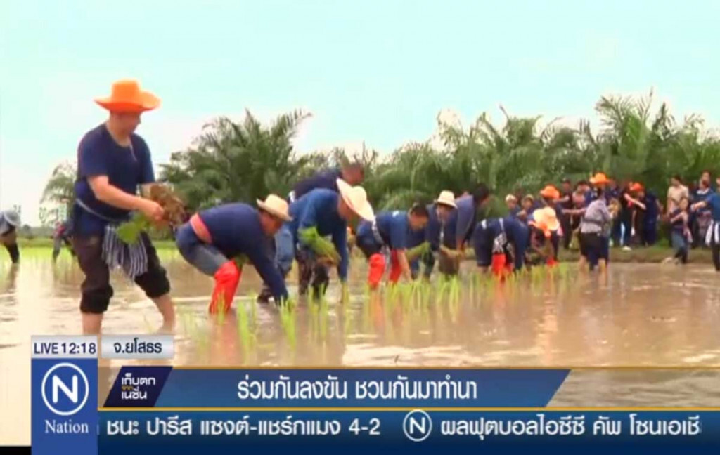 ร่วมกันลงขัน ชวนกันมาทำนา ร่วมกันลงขัน ชวนกันมาทำนา