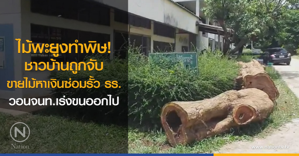 ไม้พะยูงทำพิษ!
ชาวบ้านถูกจับ
ขายไม้หาเงินซ่อมรั้ว รร.
วอนจนท.เร่งขนออกไป