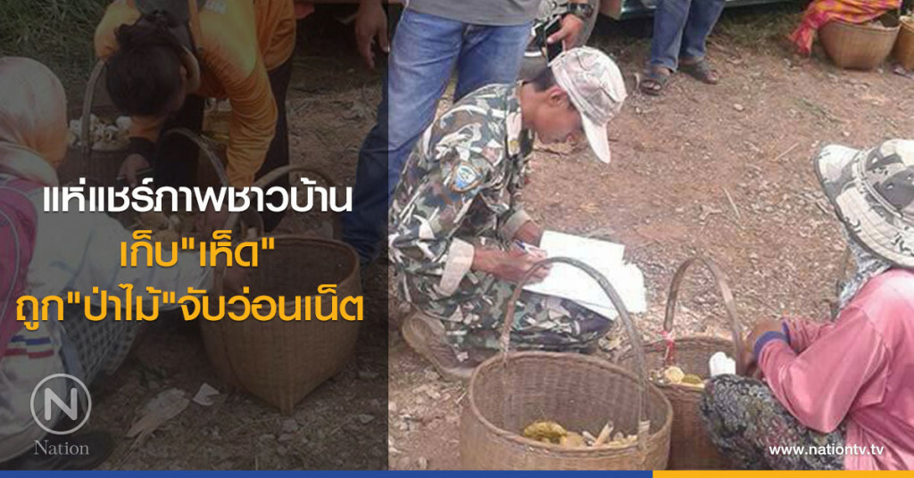 แห่แชร์ภาพชาวบ้าน
เก็บ"เห็ด"ถูก"ป่าไม้"จับว่อนเน็ต