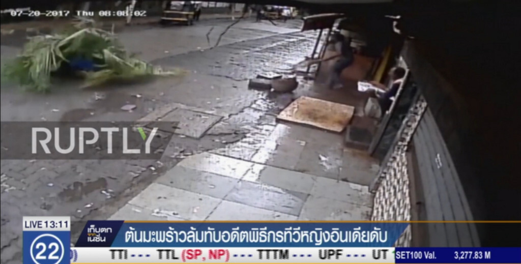 ต้นมะพร้าวล้มทับ อดีตพิธีกรทีวีอินเดียเสียชีวิต ต้นมะพร้าวล้มทับ อดีตพิธีกรทีวีอินเดียเสียชีวิต