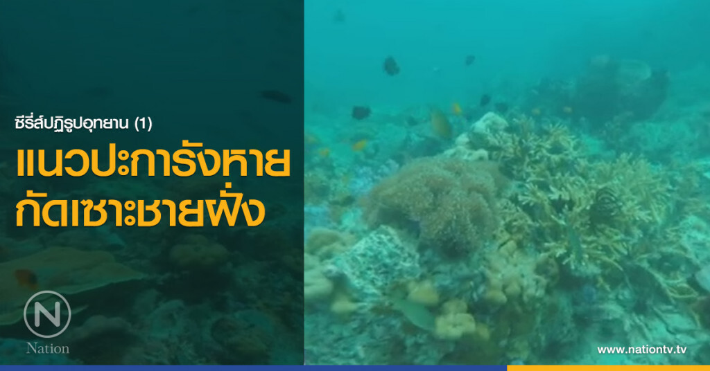 แนวปะการังหาย ทะเลกัดเซาะชายฝั่ง แนวปะการังหาย ทะเลกัดเซาะชายฝั่ง