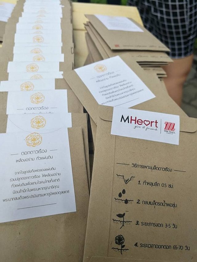 กทม.ชวน ปชช.ปลูกดาวเรืองด้วยใจ... ถวายพ่อ