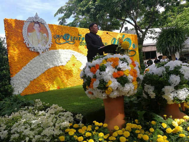 กทม.ชวน ปชช.ปลูกดาวเรืองด้วยใจ... ถวายพ่อ