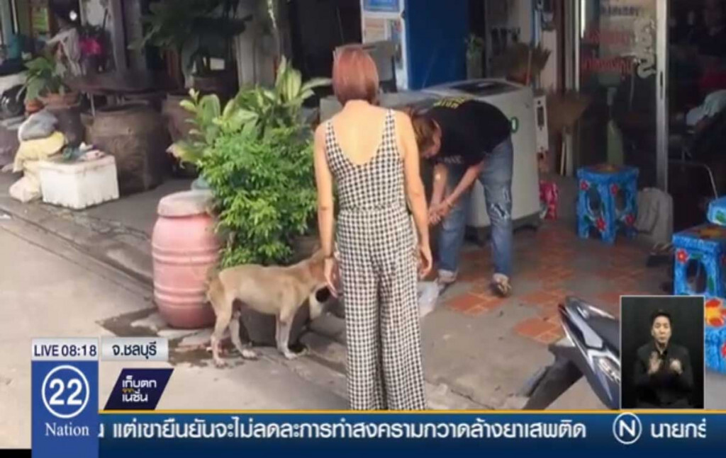 ยึดอาชีพหมอดู หารายได้เลี้ยงสุนัขจรจัด