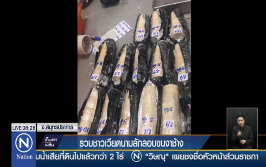 รวบชาวเวียดนาม ลักลอบขนงาช้าง