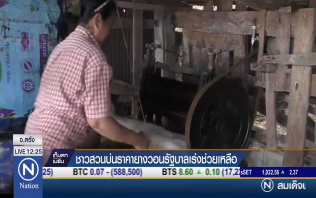 ชาวสวนบ่นราคายาง วอนรัฐบาลเร่งช่วยเหลือ