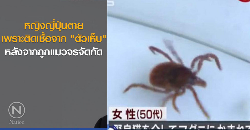 หญิงญี่ปุ่นเสียชีวิต เพราะติดเชื้อจากเห็บ หญิงญี่ปุ่นเสียชีวิต เพราะติดเชื้อจากเห็บ
