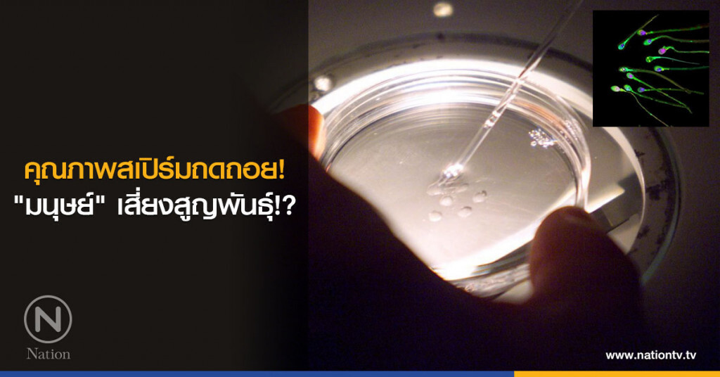 คุณภาพสเปิร์มถดถอย! "มนุษย์" เสี่ยงสูญพันธุ์!? คุณภาพสเปิร์มถดถอย! "มนุษย์" เสี่ยงสูญพันธุ์!?