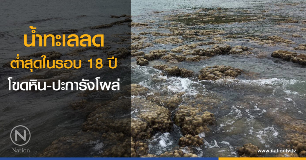 น้ำทะเลลดต่ำสุดในรอบ 18 ปี