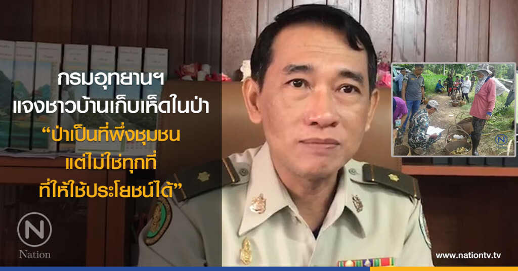 กรมอุทยานฯ แจงชาวบ้านเก็บเห็ดในป่า
"ป่าเป็นที่พึ่งชุมชน แต่ไม่ใช่ทุกที่ ที่ให้ใช้ประโยชน์ได้"